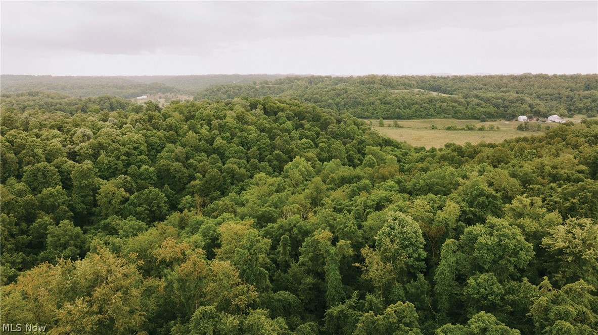 Logan Road Quaker City, OH 43773 - Photo 7 of 8 Drone / aerial view