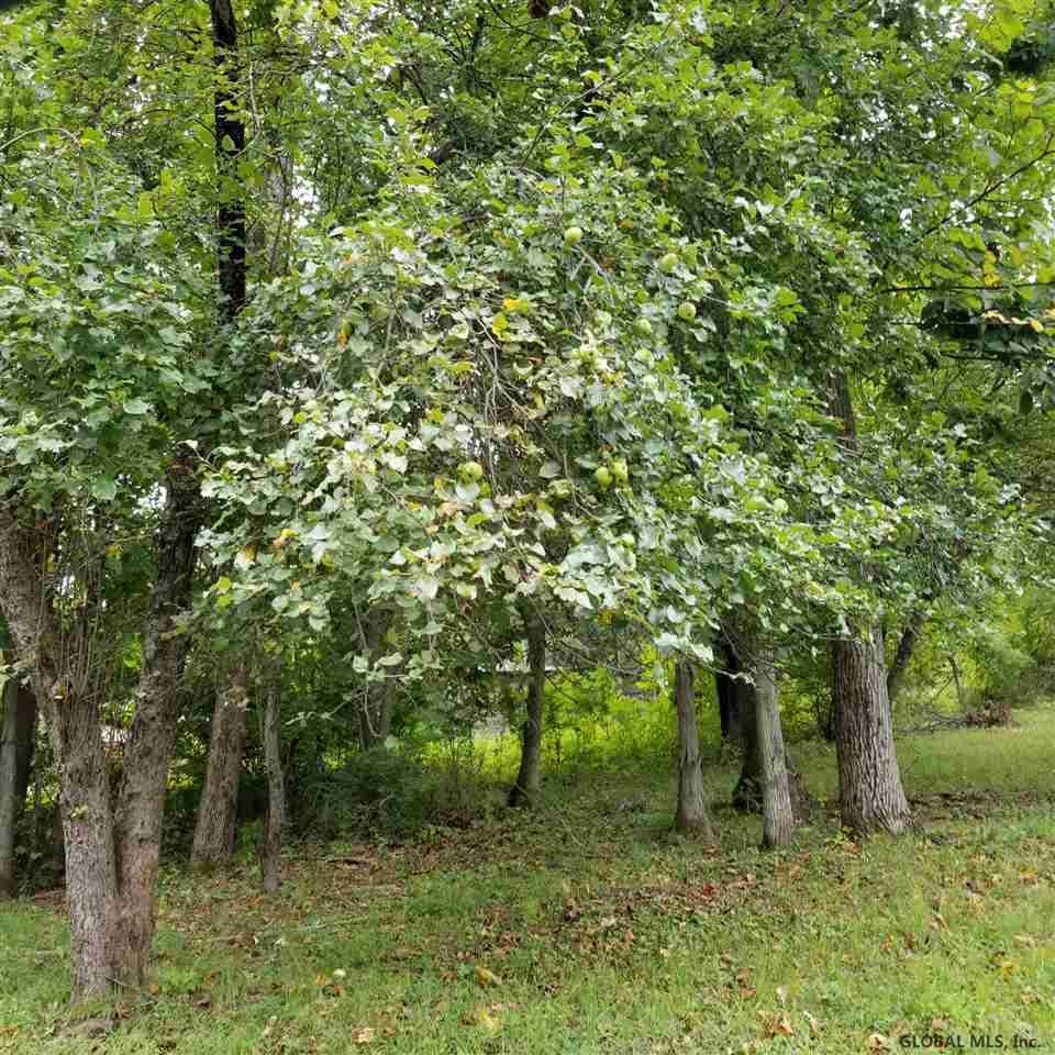 234 Plank Road Poestenkill, NY 12140 - Photo 16 of 68 Photo 29
