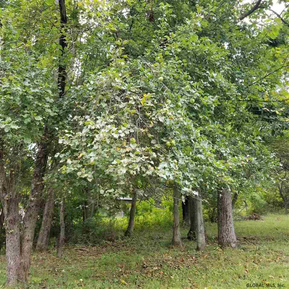 234 Plank Road Poestenkill, NY 12140 - Photo 23 of 68 Photo 41