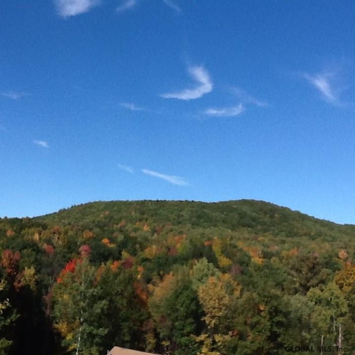 234 Plank Road Poestenkill, NY 12140 - Photo 3 of 68 Photo 3