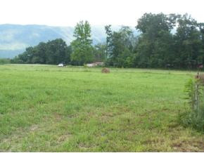 Lot 5 Ricker Road, Unit 5 Greeneville, TN 37743 - Photo 1 of 1 Photo 1