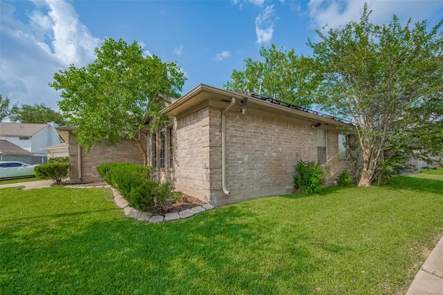 a view of a backyard with potted plants and large tree
