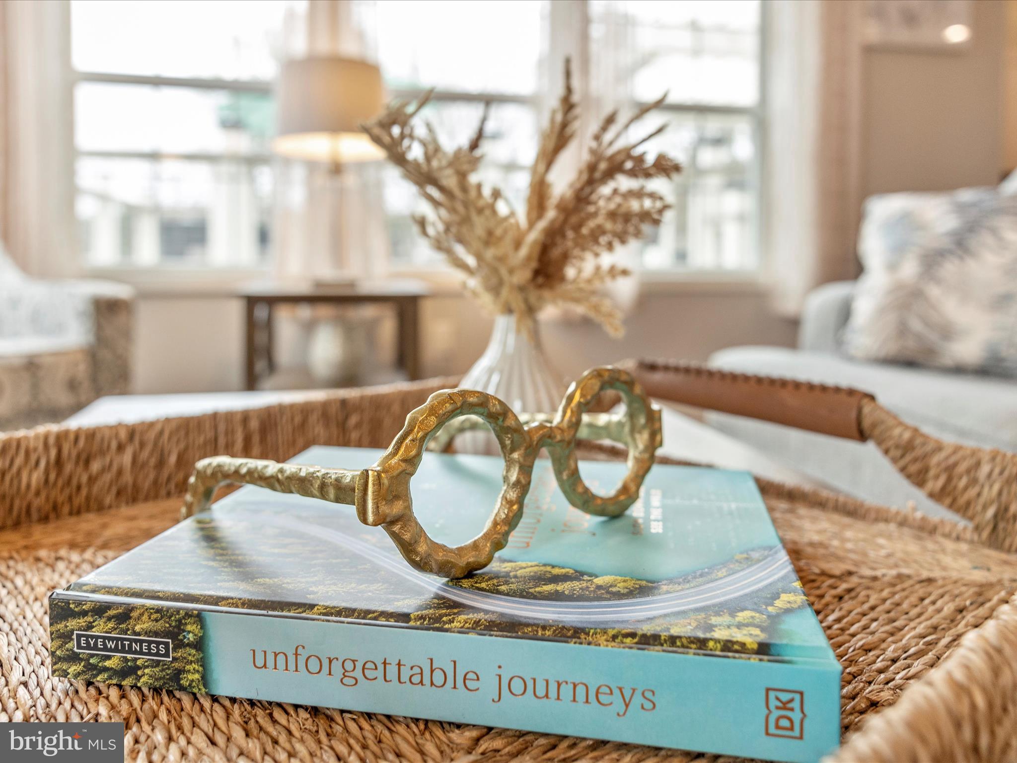 6719 Plantation Road Frederick, MD 21701 - Photo 13 of 74 Living Room Detail
