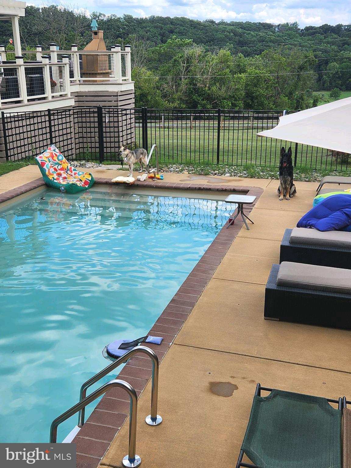 6719 Plantation Road Frederick, MD 21701 - Photo 55 of 74 Pool