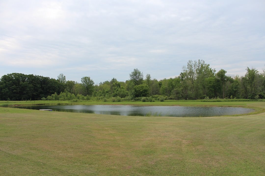 1848808-6.JPG