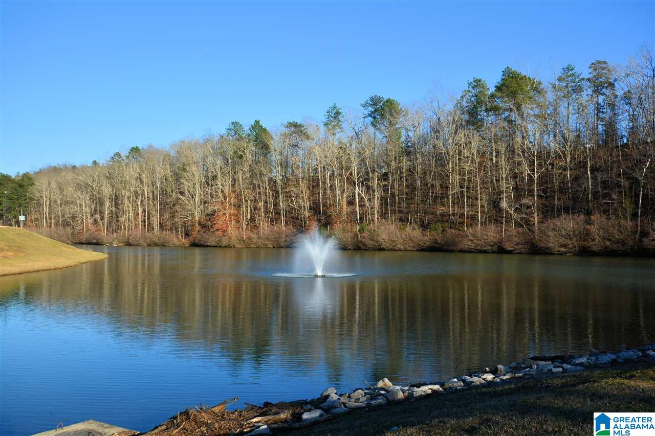 113 Scarlet Lane Chelsea, AL 35043 - Photo 50 of 50