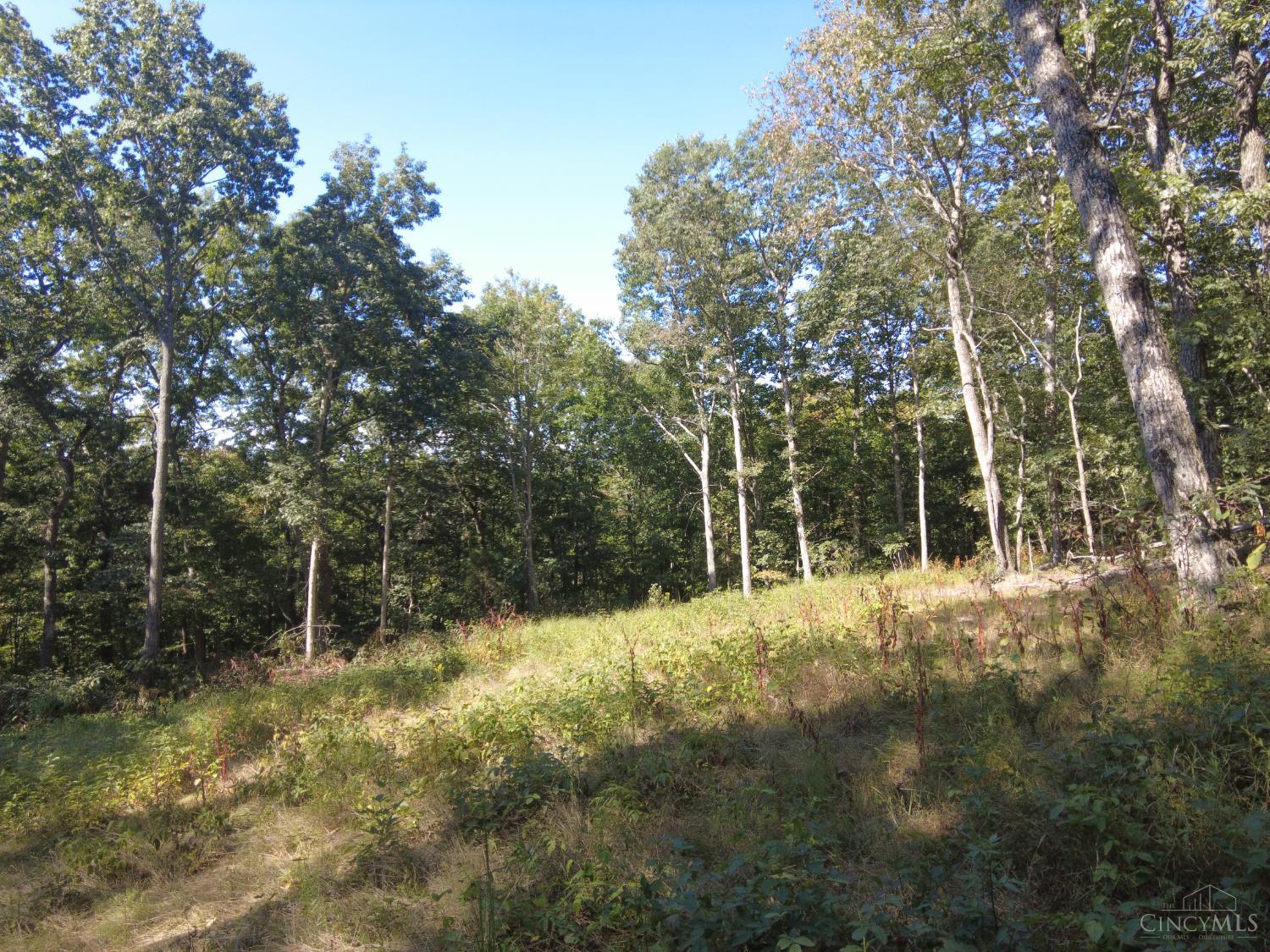 16 Black Hollow Road Peebles, OH 45660 - Photo 24 of 39