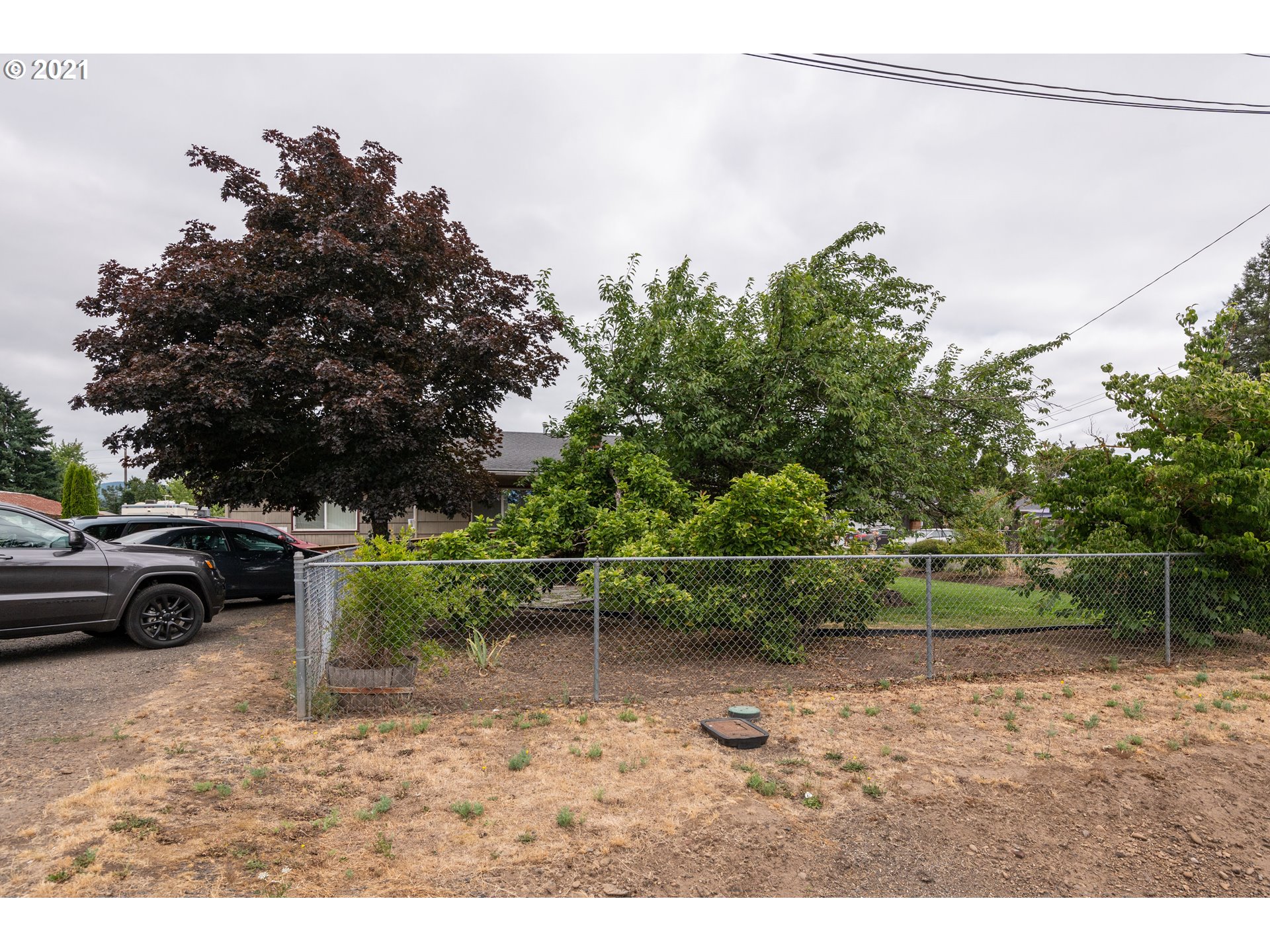 4954 E Street Springfield, OR 97478 - Photo 5 of 23 a backyard of a house with lots of green space