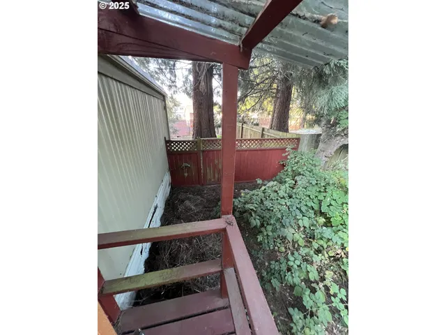 a view of a yard from a tree