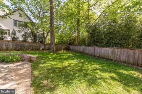 a view of a backyard with large trees and plants