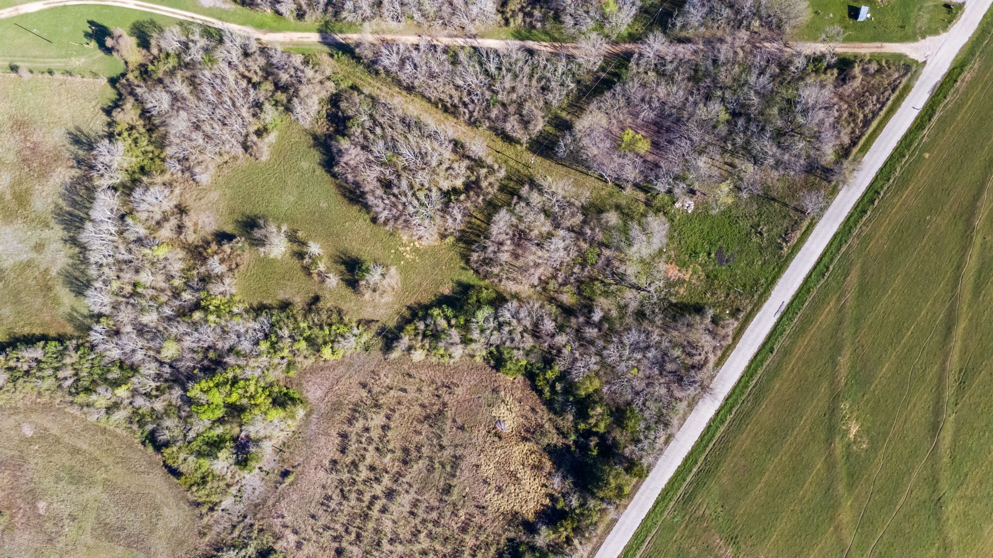 3979 Felder Road Washington, TX 77880 - Photo 2 of 14