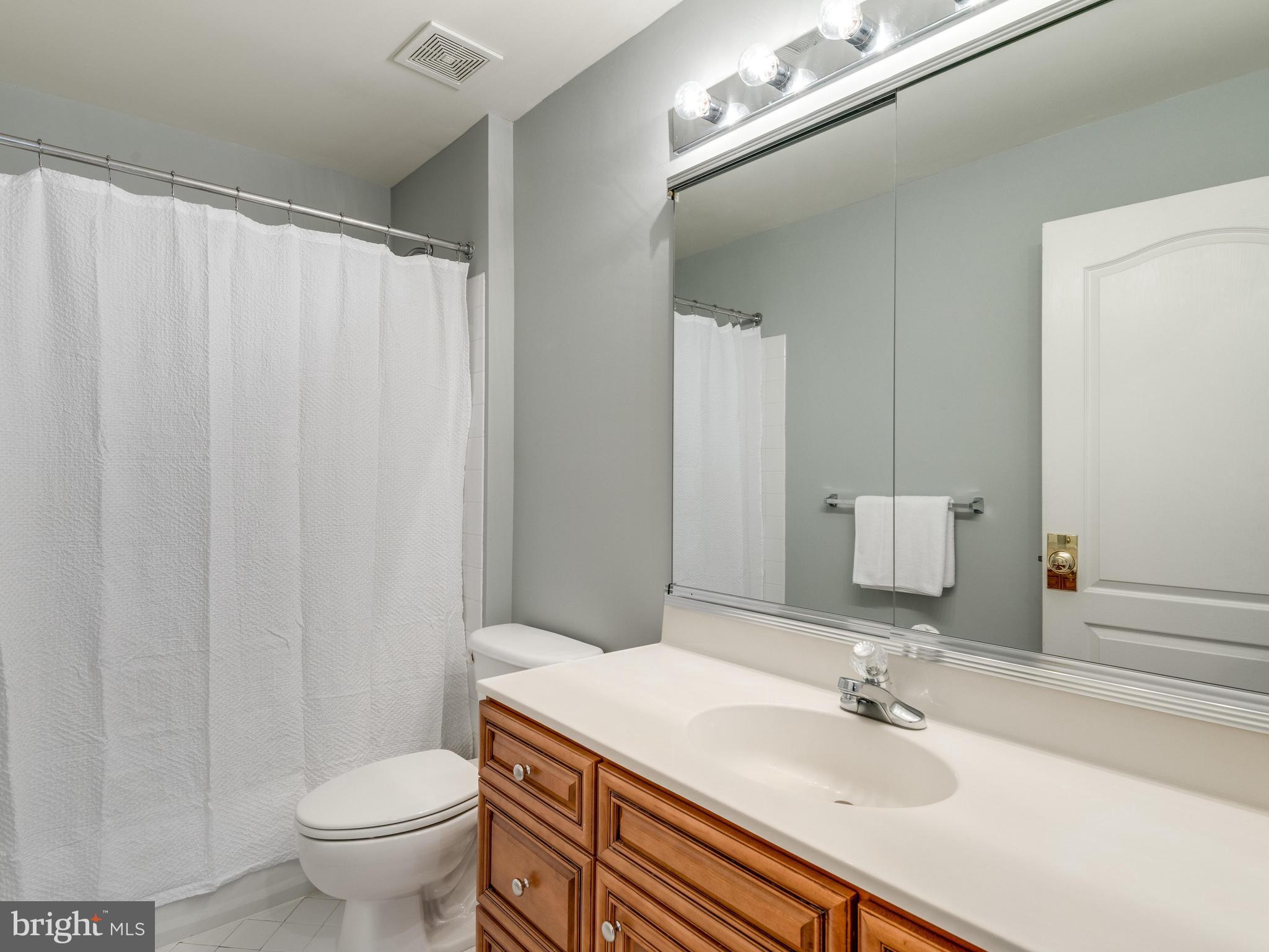 22612 Conklin Ridge Court Ashburn, VA 20148 - Photo 21 of 30 Hall Bath