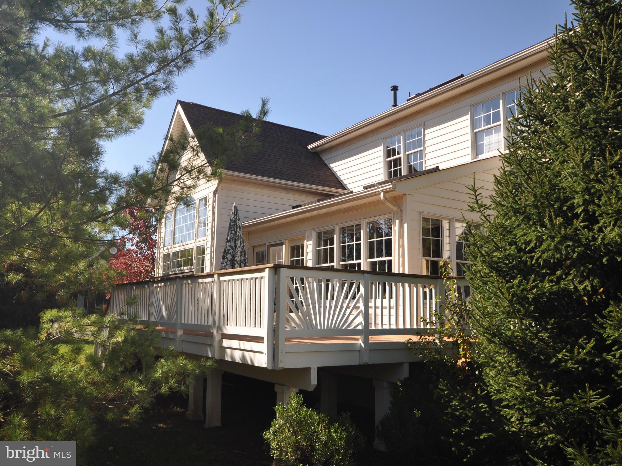 22612 Conklin Ridge Court Ashburn, VA 20148 - Photo 29 of 30 Deck and Mature Shrubbery