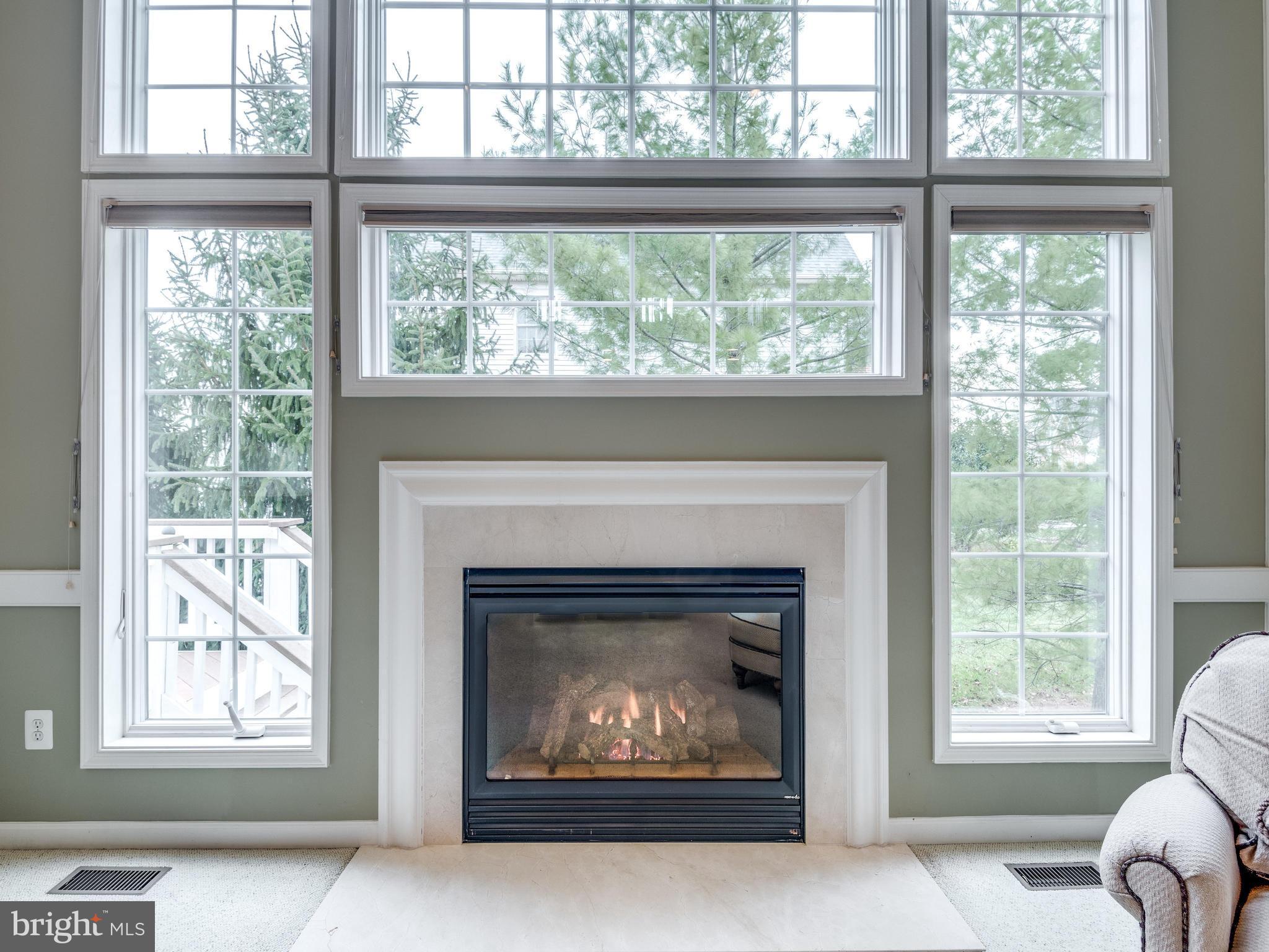 22612 Conklin Ridge Court Ashburn, VA 20148 - Photo 7 of 30 Family Room Fireplace