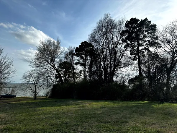 a grassy field with trees in the background