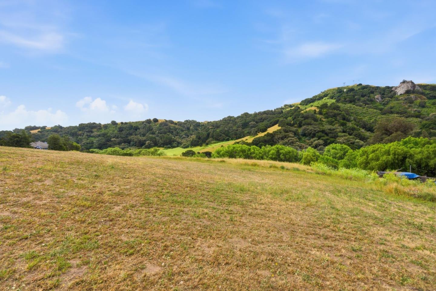 1584 Rocks Road San Juan Bautista, CA 95045 - Photo 60 of 69
