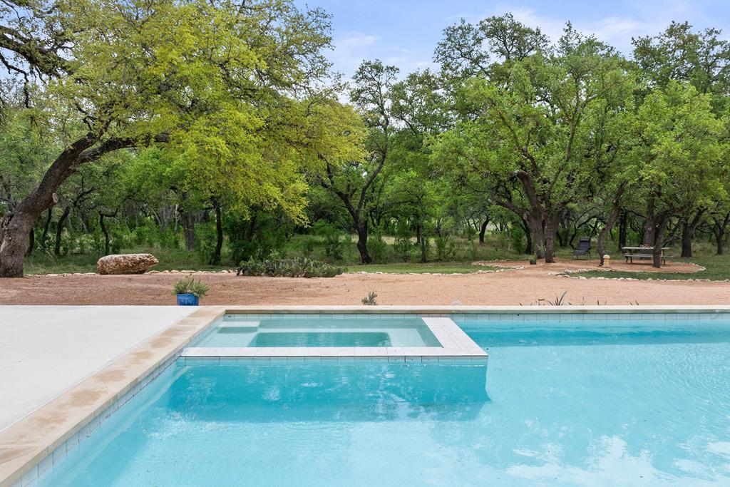 444 Klein Road Stonewall, TX 78671 - Photo 27 of 55 a view of swimming pool with trees
