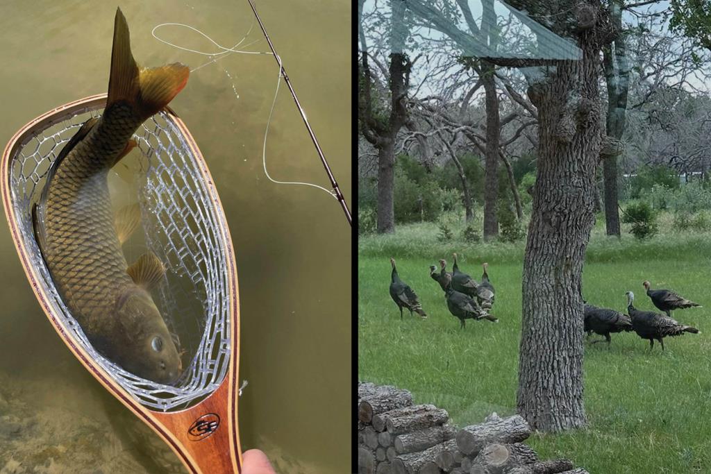 444 Klein Road Stonewall, TX 78671 - Photo 52 of 55 a view of a balcony with garden