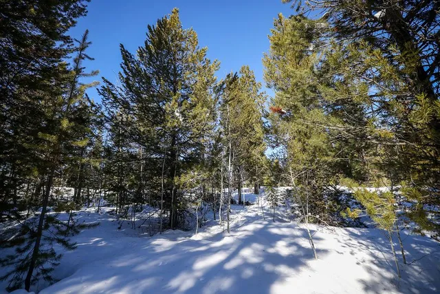 $179,000 | 8 Haymaker Place, Unit 61, McCall, ID 83638