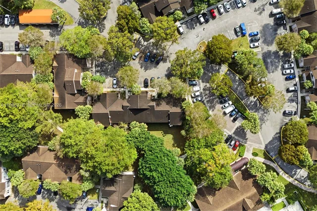 a picture of flowers