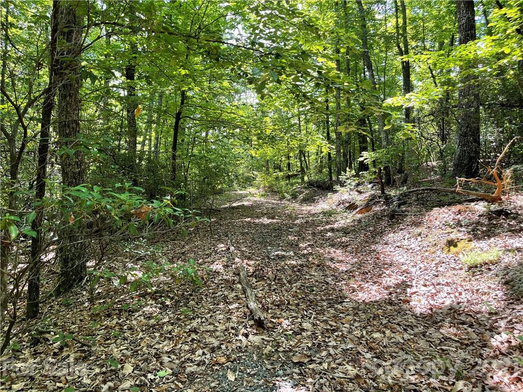 0 Western Meander Road Union Mills, NC 28167 - Photo 3 of 4 a view of a forest with trees
