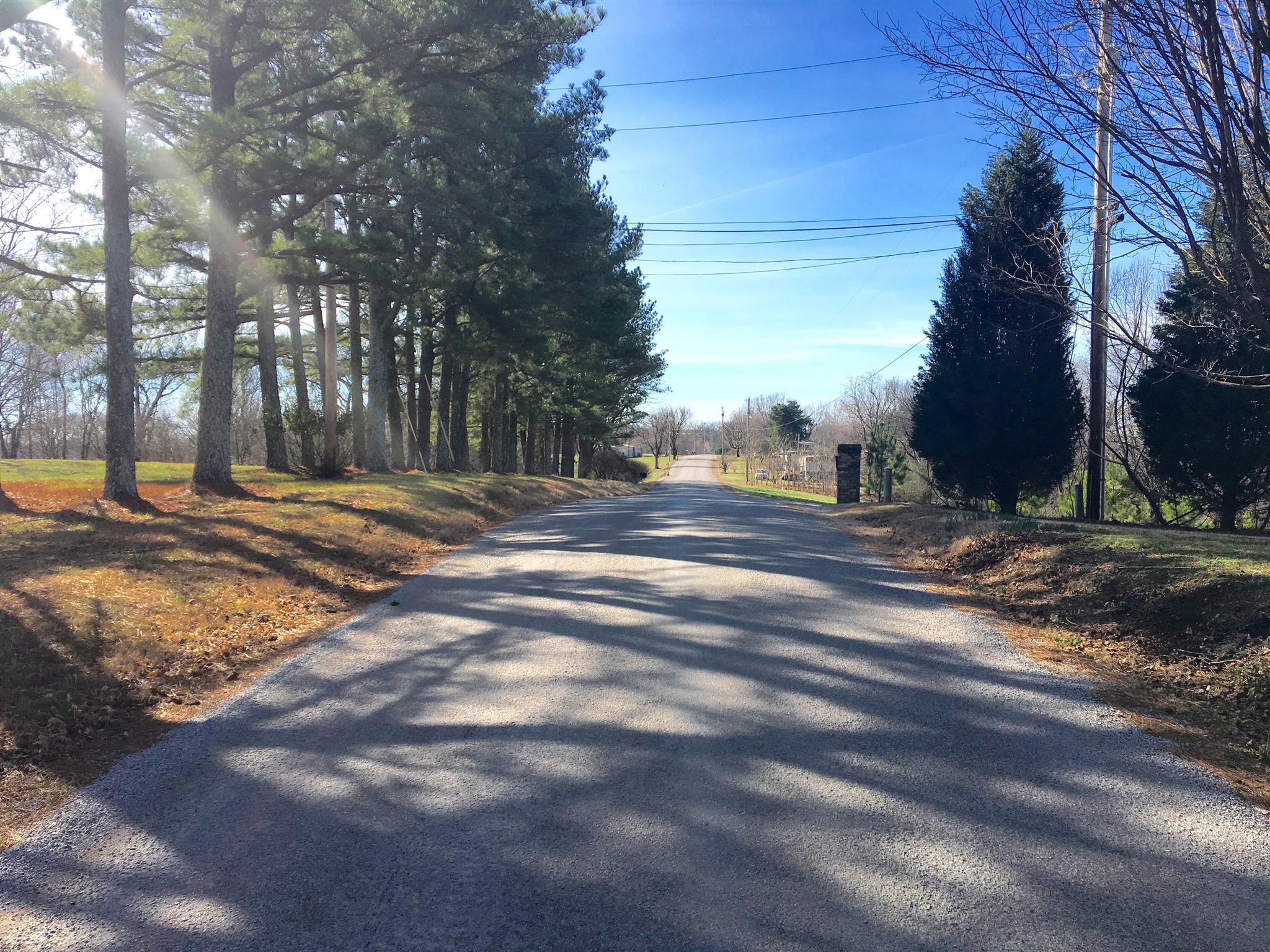 1948 Roberts Bend Road Columbia, TN 38401 - Photo 3 of 10 a view of road with trees