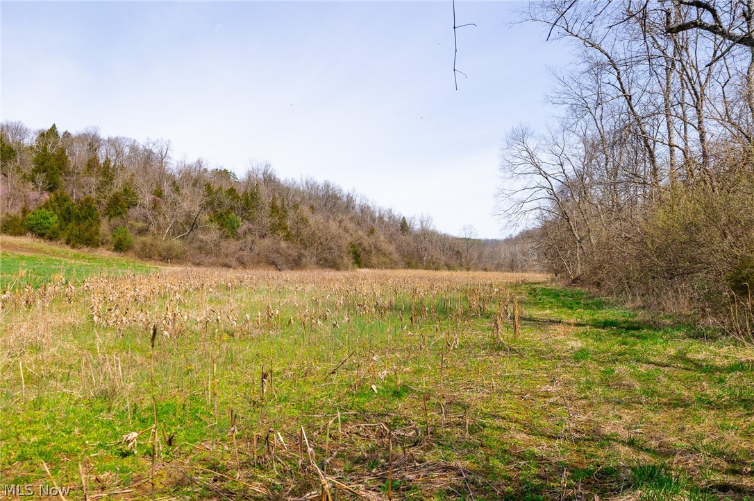 East Branch Road Lowell, OH 45744 - Photo 22 of 29