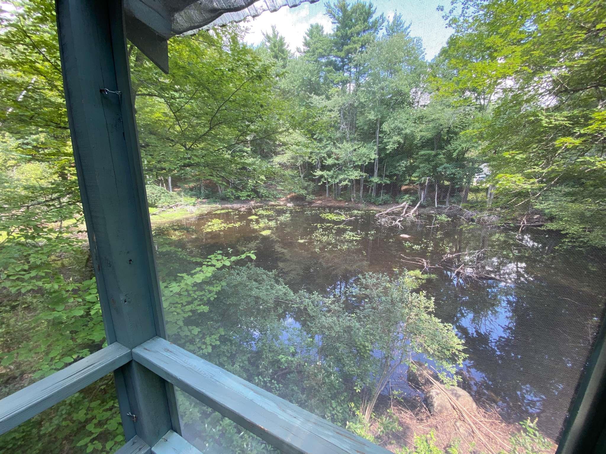 126 Hall Road Barrington, NH 03825 - Photo 5 of 40 Gallery Image 5