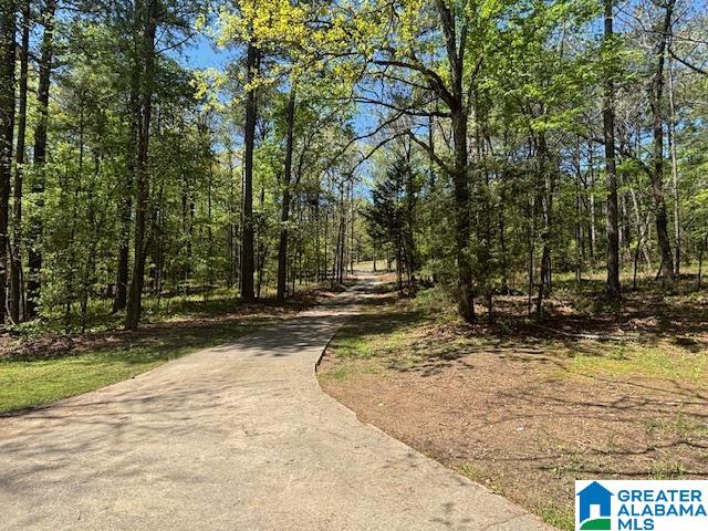 849 Cornelia Road Brierfield, AL 35035 - Photo 5 of 34