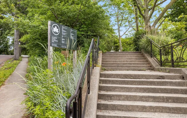 a view of a park with large trees