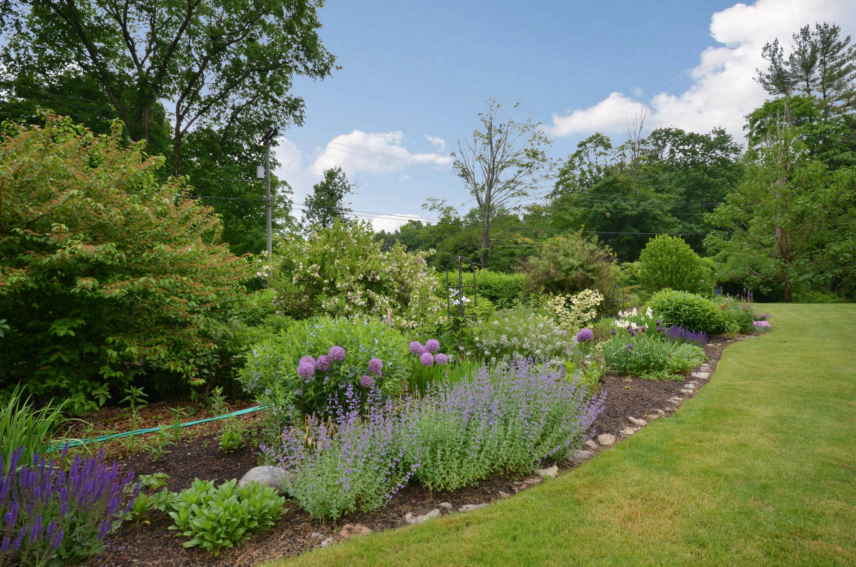 1462 Oenoke Ridge New Canaan, CT 06840 - Photo 24 of 25 a view of a garden with a flower in a garden