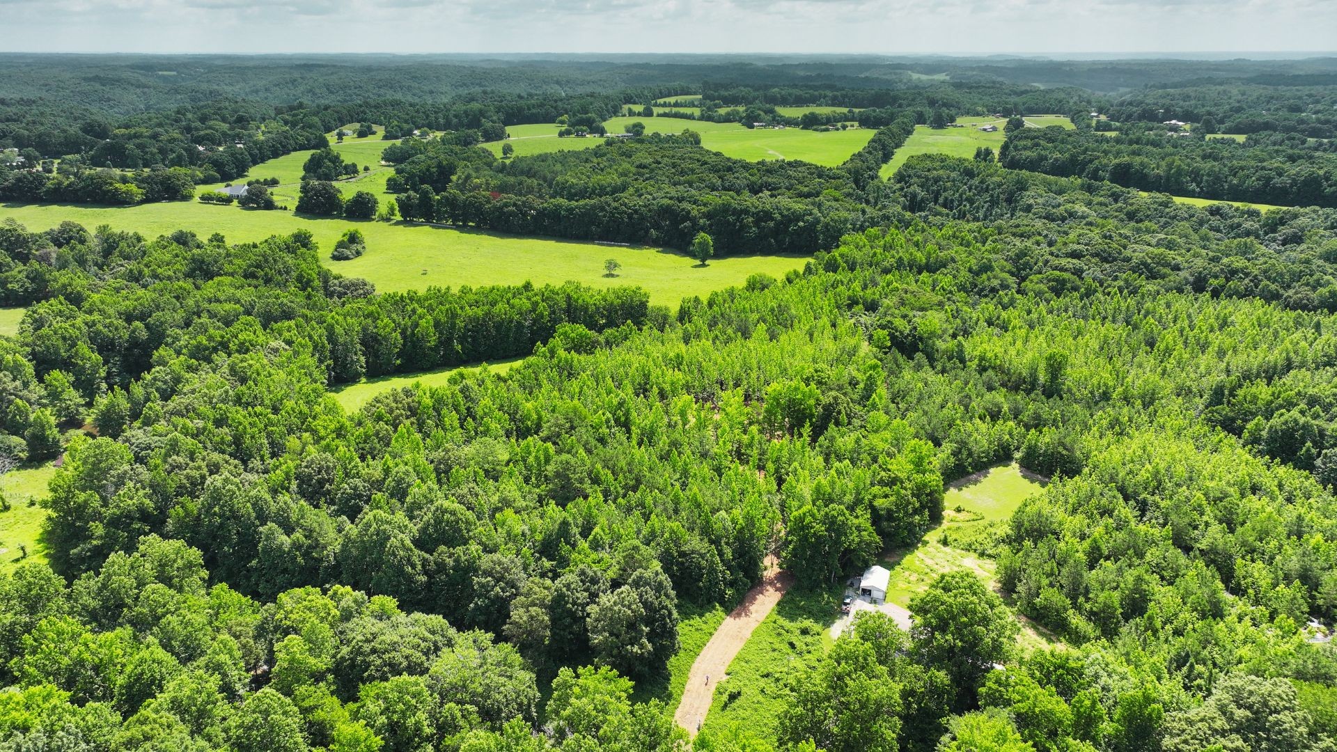 0 Davis Hollow Road Minor Hill, TN 38473 - Photo 22 of 23