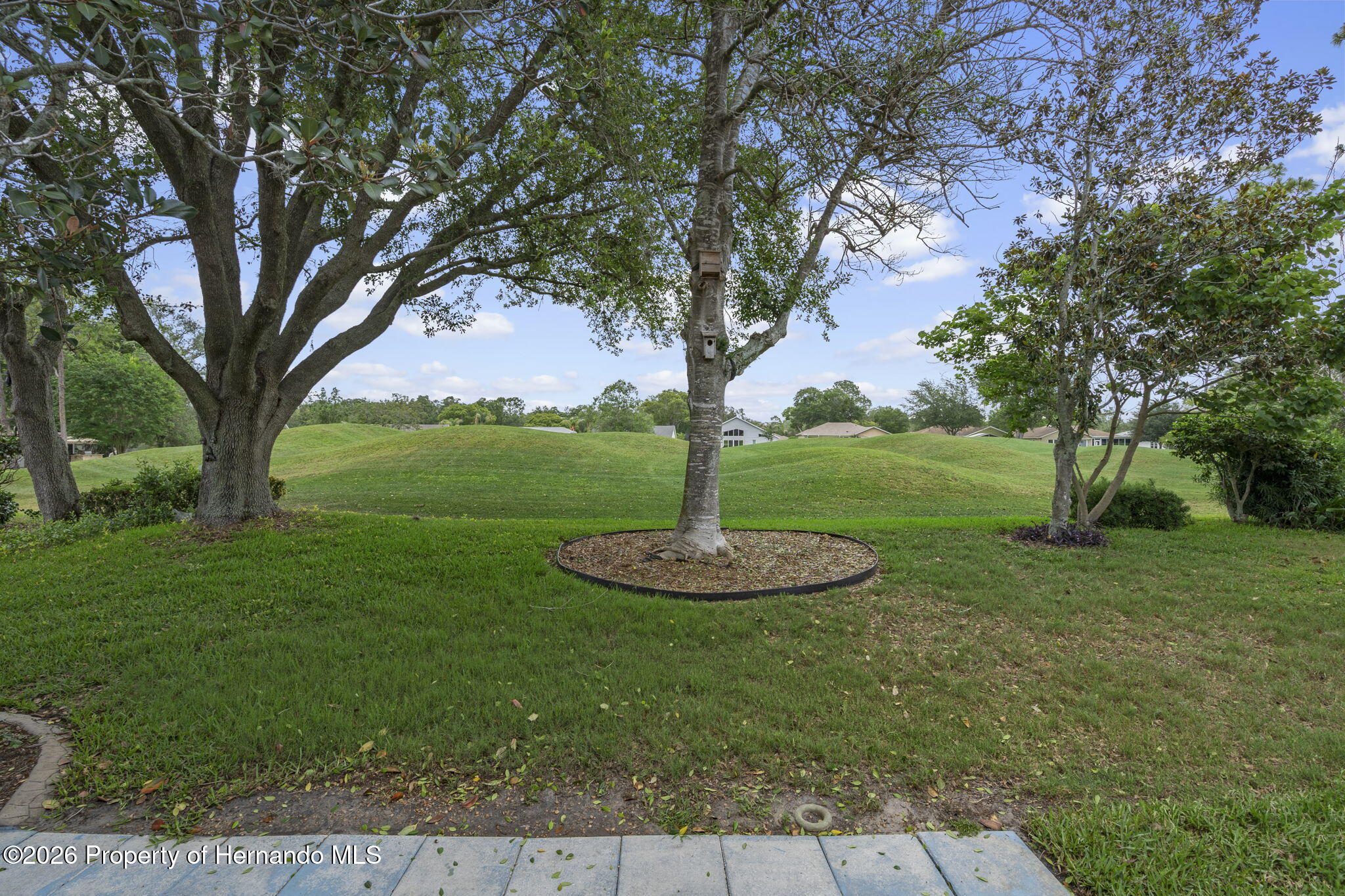 3072 Eagle Bend Road Spring Hill, FL 34606 - Photo 53 of 115 Back Yard View Looking out onto the Cours