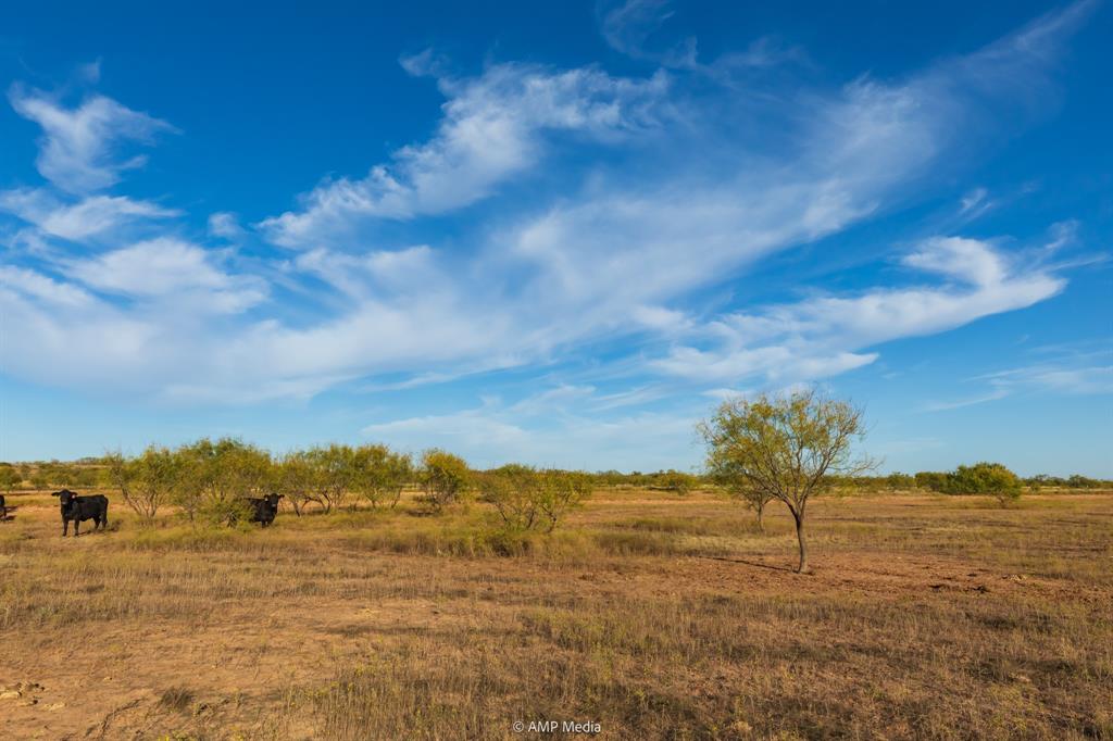 13558 A County Road 440 Merkel, TX 79536 - Photo 12 of 26 a view of lake view and mountain