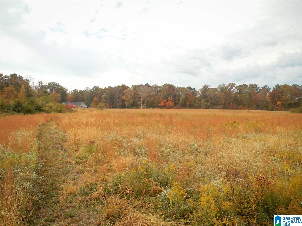 341 Happy Knoll Road Ashville, AL 35953 - Photo 44 of 47