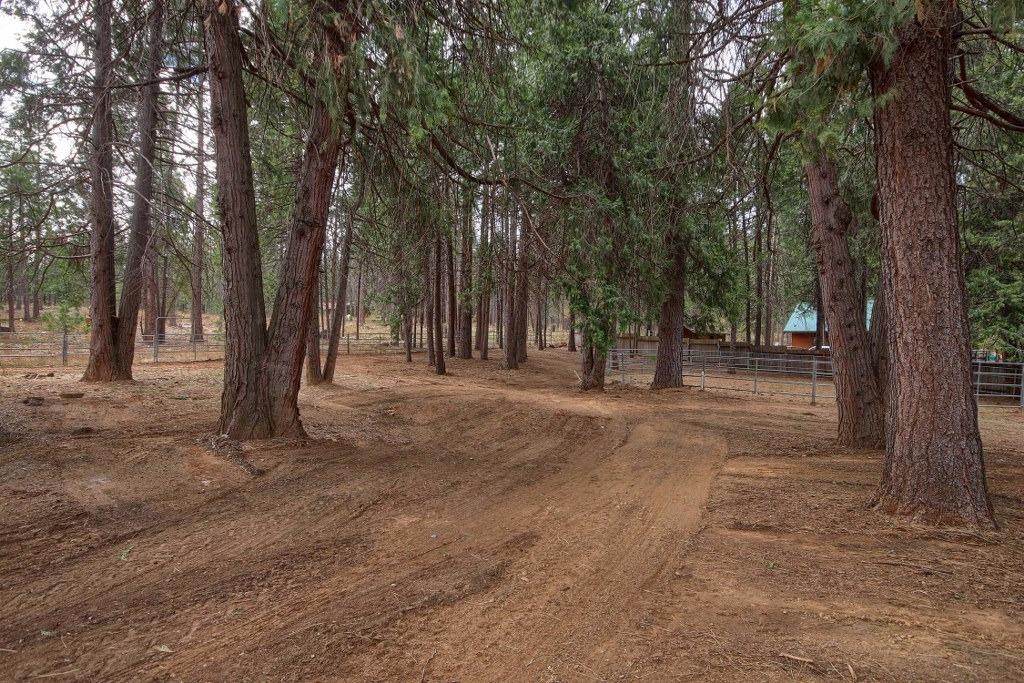 7015 Scott Road Mariposa, CA 95338 - Photo 52 of 54 Gallery Image 52