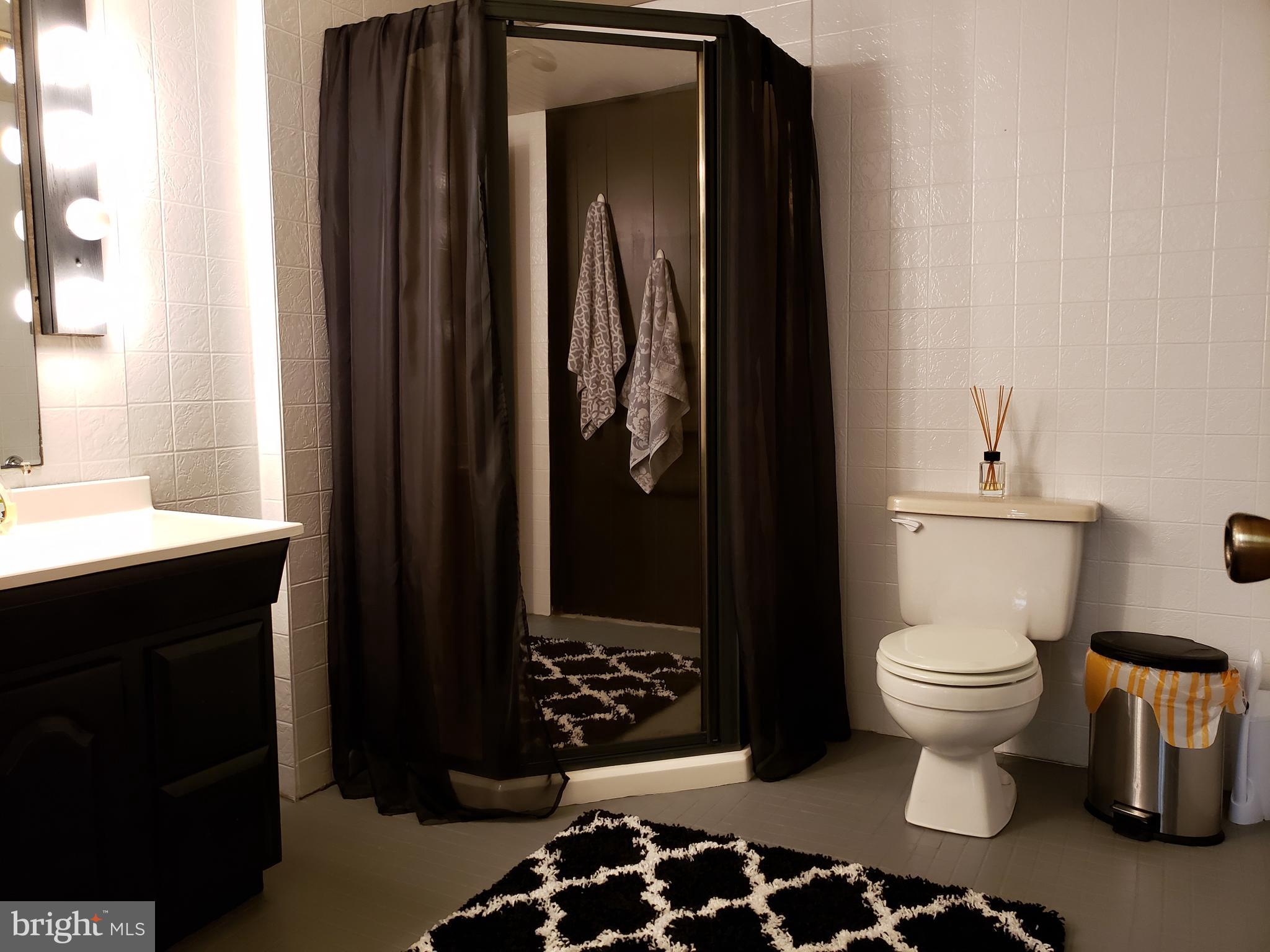 1138 Calvert Beach Road St. Leonard, MD 20685 - Photo 11 of 17 Basement bath