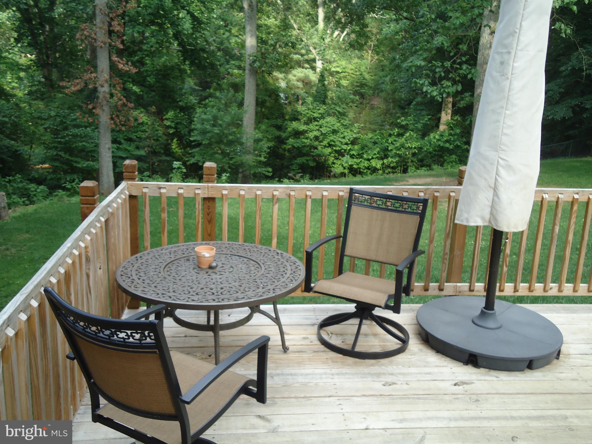 1138 Calvert Beach Road St. Leonard, MD 20685 - Photo 3 of 17 Spacious Deck for your cookouts and entertaining