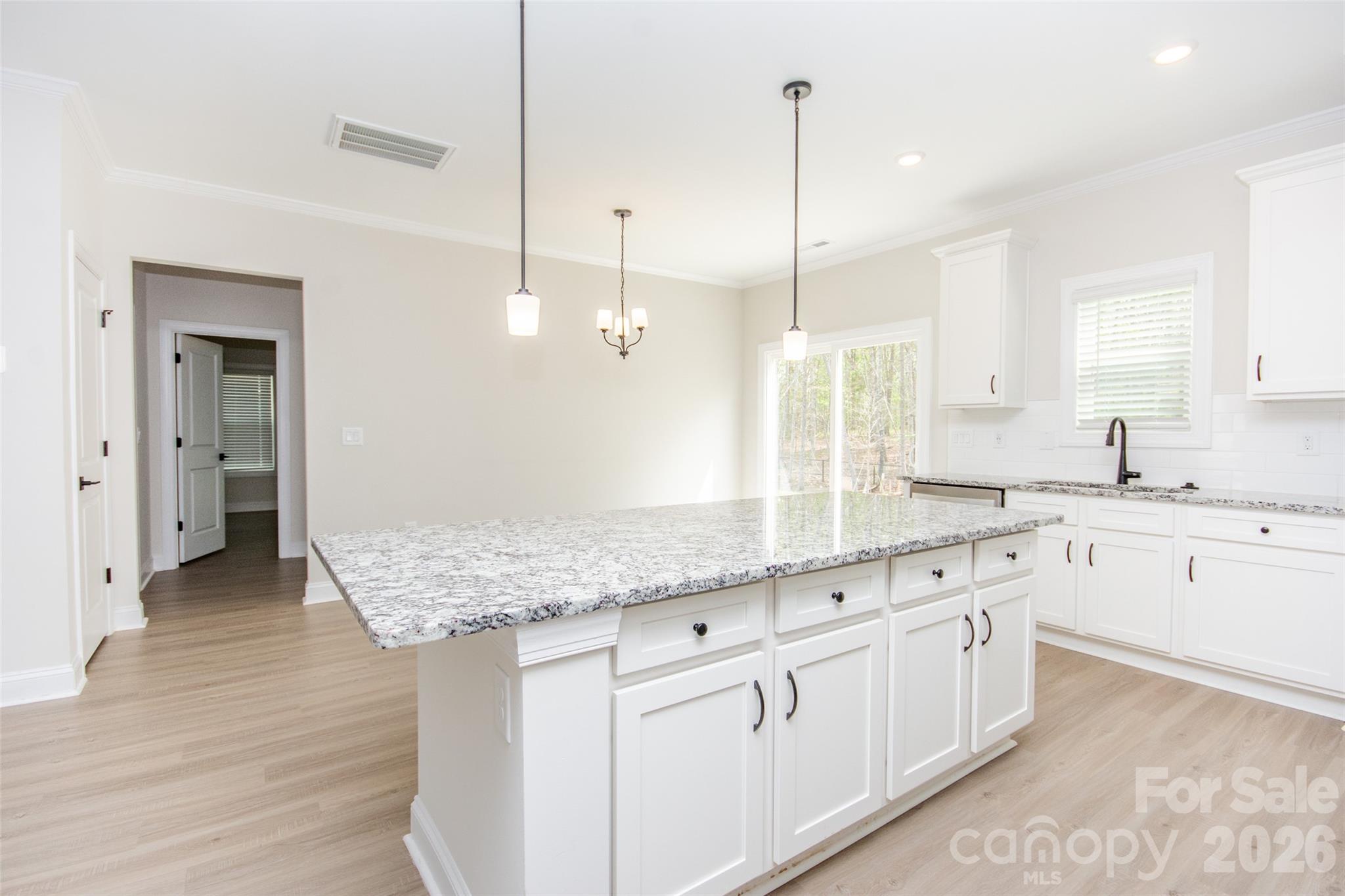109 Brixham Loop Troutman, NC 28166 - Photo 19 of 44