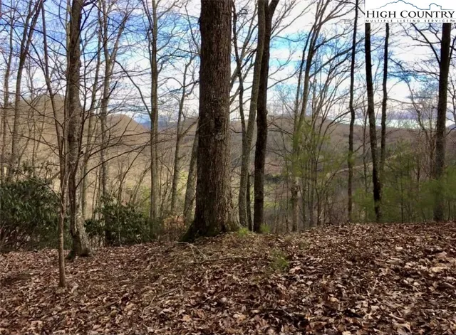 a view of outdoor space with lots of trees