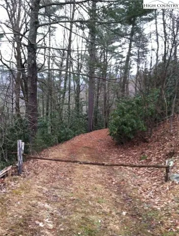 a view of a road with trees in the background