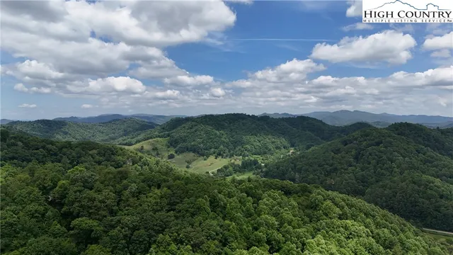 a view of a bunch of trees