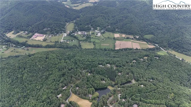 a view of a field with a forest
