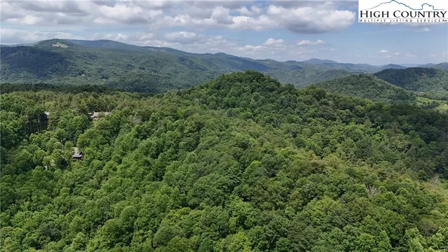 a view of a city with lush green forest
