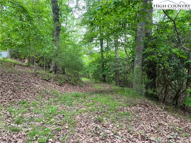 a big yard with lots of green space and deers