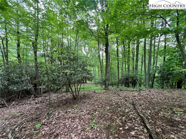 a view of outdoor space and trees