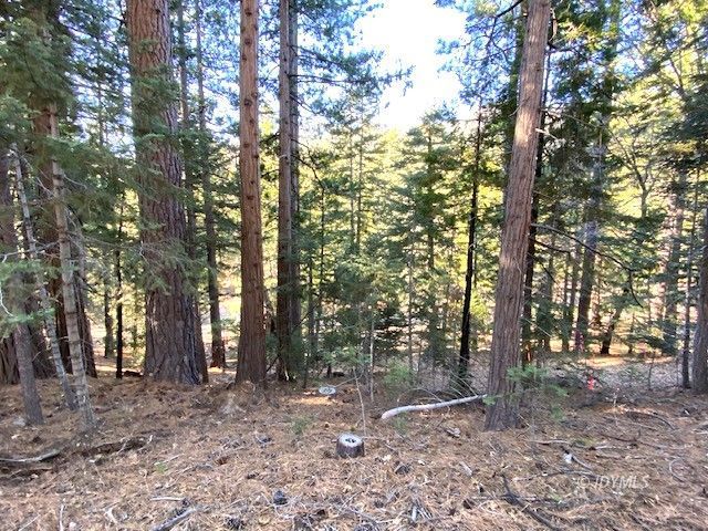 53140 4s02 Idyllwild, CA 92549 - Photo 11 of 13 Untitled