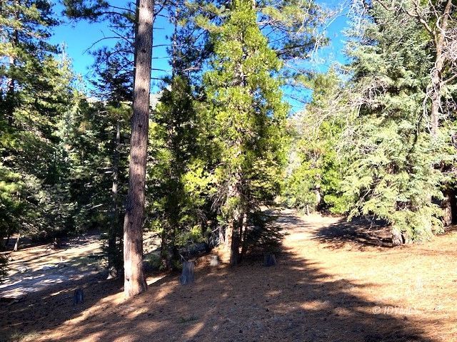 53140 4s02 Idyllwild, CA 92549 - Photo 12 of 13 Untitled