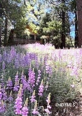 53140 4s02 Idyllwild, CA 92549 - Photo 6 of 13 Untitled