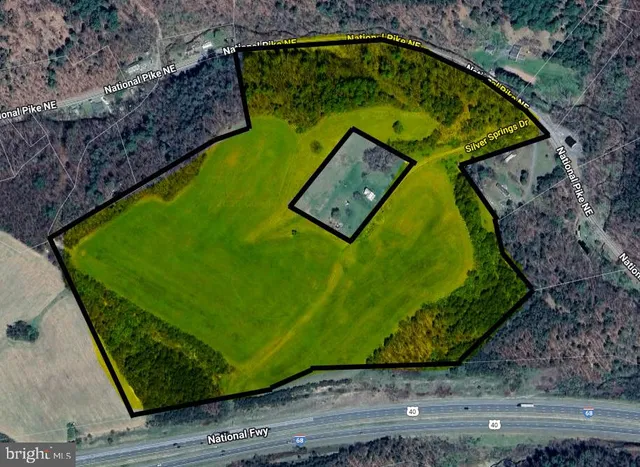 a view of a painting on a park